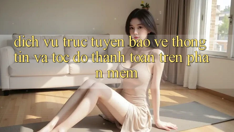 Dịch vụ trực tuyến Bảo vệ thông tin Và Tốc Độ Thanh toán Trên Phần mềm
