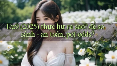 Eu9 (2025) thực hư ra sao để so sánh   an toàn, pot odds