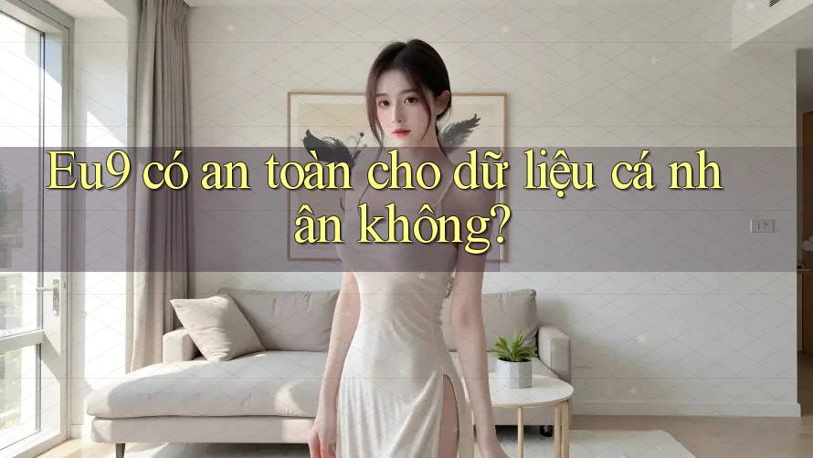 eu9 có an toàn cho dữ liệu cá nhân không?