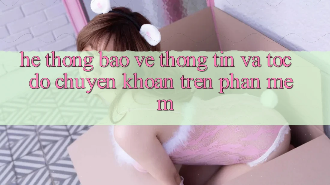 Hệ Thống Bảo vệ thông tin Và Tốc Độ Chuyển khoản Trên Phần mềm