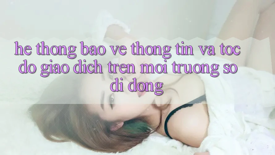 Hệ Thống Bảo vệ thông tin Và Tốc Độ Giao Dịch Trên Môi trường số Di Động