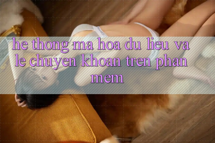 Hệ Thống Mã hóa dữ liệu Và Lẹ Chuyển khoản Trên Phần mềm Hệ Thống Mã hóa dữ liệu Và Lẹ Chuyển khoản Trên Phần mềm