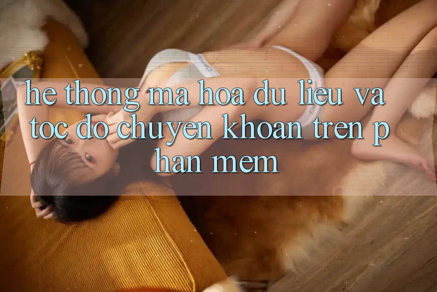Hệ Thống Mã hóa dữ liệu Và Tốc Độ Chuyển khoản Trên Phần mềm Hệ Thống Mã hóa dữ liệu Và Tốc Độ Chuyển khoản Trên Phần mềm