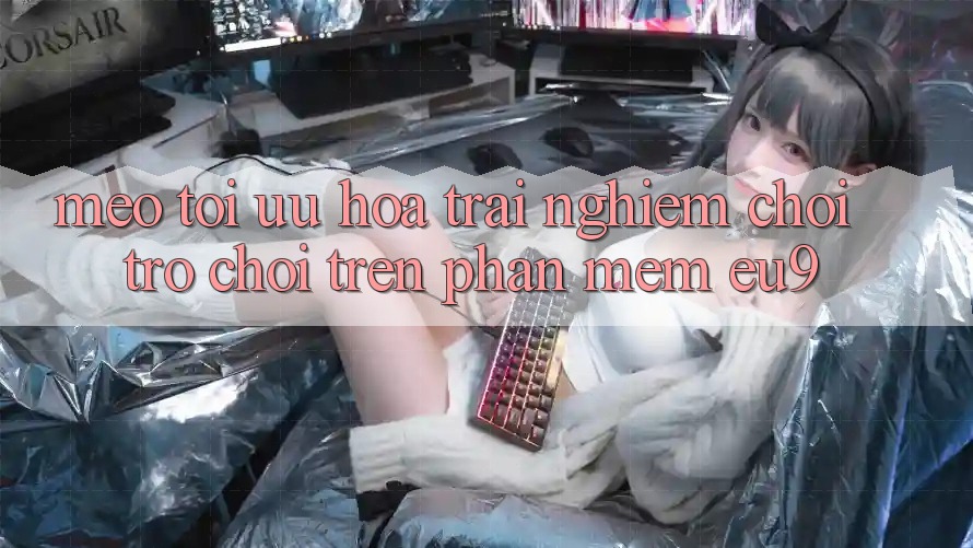 Mẹo Tối Ưu Hóa Trải Nghiệm Chơi Trò chơi Trên Phần mềm EU9